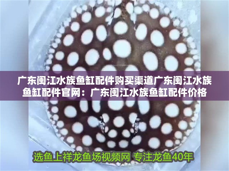 廣東閩江水族魚缸配件購買渠道廣東閩江水族魚缸配件官網(wǎng)：廣東閩江水族魚缸配件價(jià)格