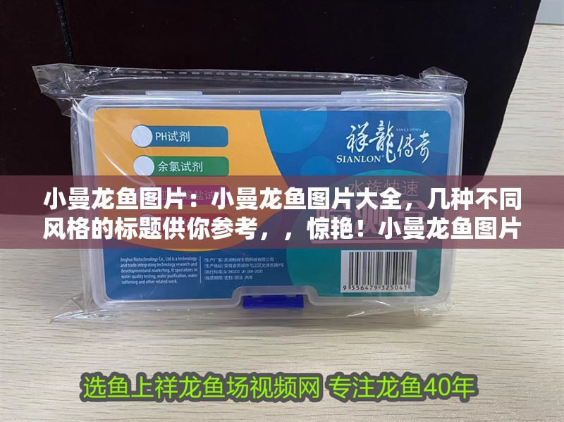 小曼龍魚圖片：小曼龍魚圖片大全，幾種不同風(fēng)格的標(biāo)題供你參考，，驚艷！小曼龍魚圖片全收錄，暢覽小曼龍魚絕美圖片大全，聚焦小曼龍魚，海量高清圖片集