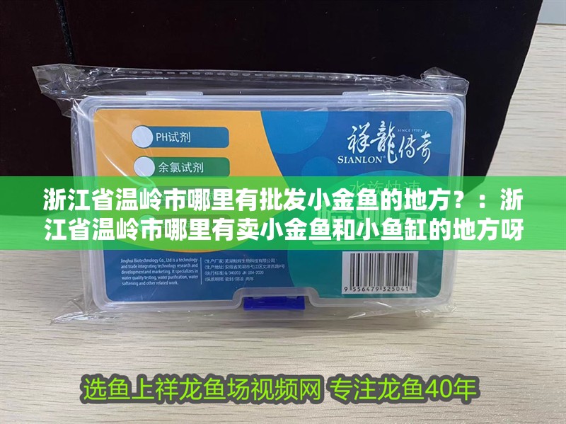 浙江省溫嶺市哪里有批發小金魚的地方？：浙江省溫嶺市哪里有賣小金魚和小魚缸的地方呀圖片視頻
