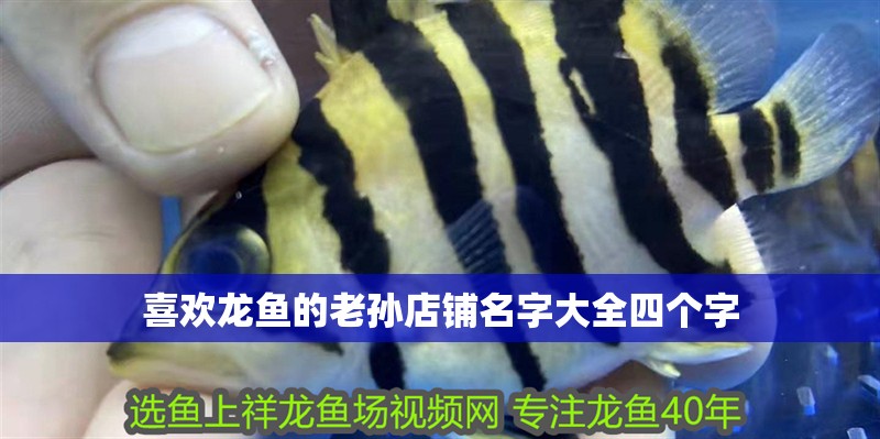 喜歡龍魚的老孫店鋪名字大全四個字