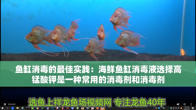 魚缸消毒的最佳實踐：海鮮魚缸消毒液選擇高錳酸鉀是一種常用的消毒劑和消毒劑