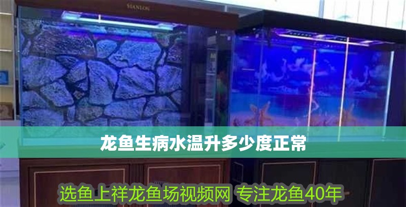 龍魚生病水溫升多少度正常