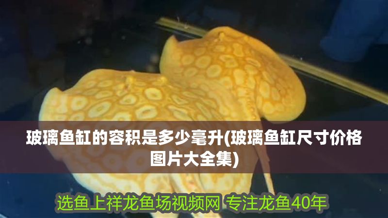 玻璃魚缸的容積是多少毫升(玻璃魚缸尺寸價格圖片大全集) 玻璃魚缸的容積是多少毫升(玻璃魚缸尺寸價格圖片大全集) 元寶鳳凰魚百科 第1張