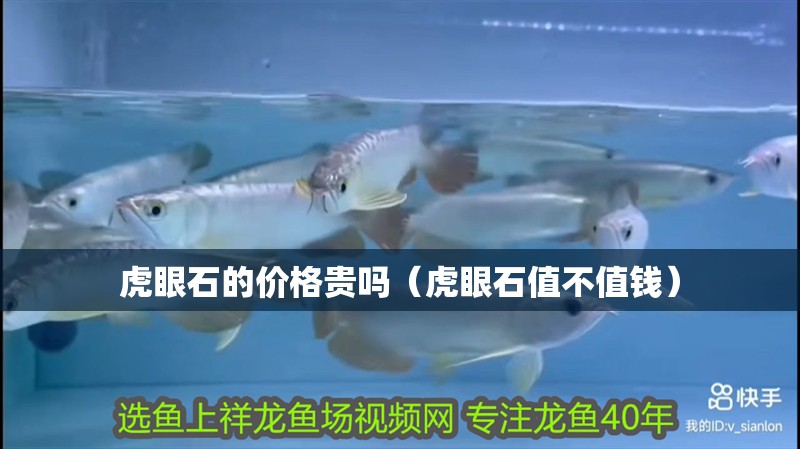 虎眼石的價(jià)格貴嗎（虎眼石值不值錢）