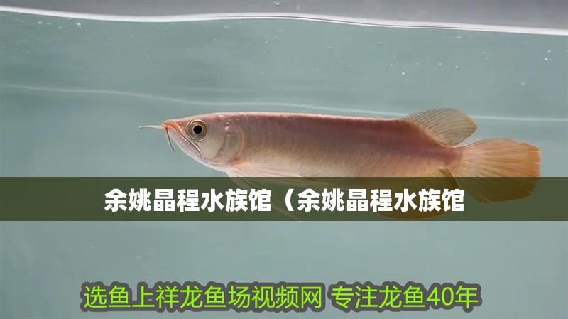 余姚晶程水族館（余姚晶程水族館