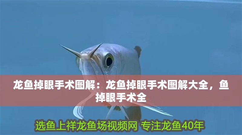 龍魚掉眼手術圖解：龍魚掉眼手術圖解大全，魚掉眼手術全
