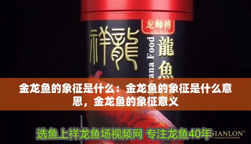 金龍魚的象征是什么：金龍魚的象征是什么意思，金龍魚的象征意義