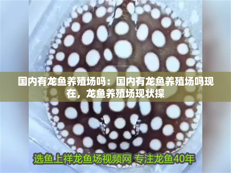 國內(nèi)有龍魚養(yǎng)殖場嗎：國內(nèi)有龍魚養(yǎng)殖場嗎現(xiàn)在，龍魚養(yǎng)殖場現(xiàn)狀探