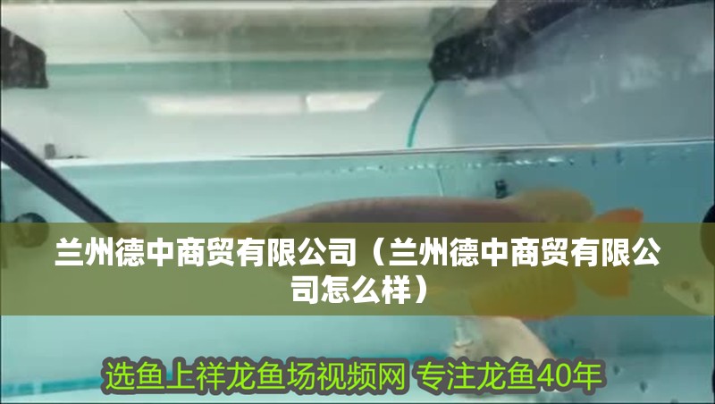 蘭州德中商貿有限公司（蘭州德中商貿有限公司怎么樣）