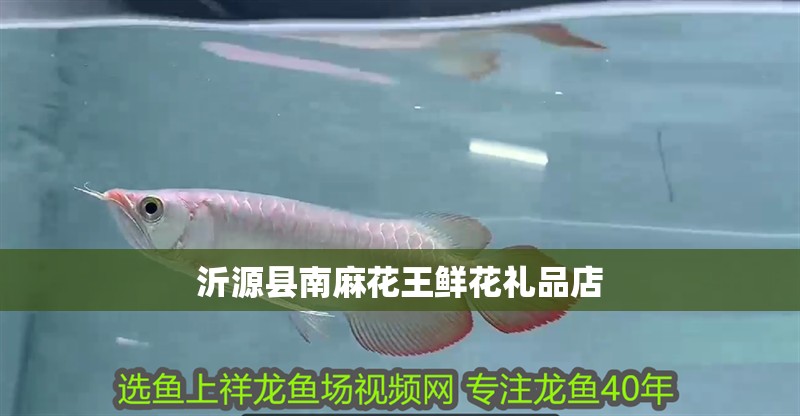 沂源縣南麻花王鮮花禮品店 沂源縣南麻花王鮮花禮品店 全國水族館企業(yè)名錄