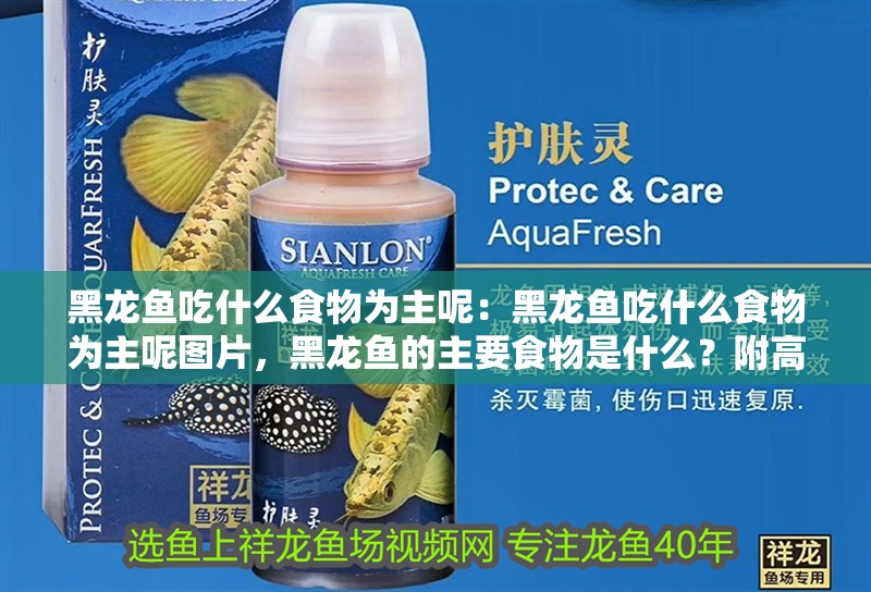 黑龍魚吃什么食物為主呢：黑龍魚吃什么食物為主呢圖片，黑龍魚的主要食物是什么？附高清