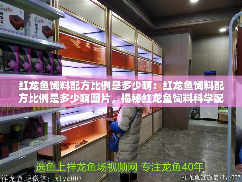 紅龍魚飼料配方比例是多少啊：紅龍魚飼料配方比例是多少啊圖片，揭秘紅龍魚飼料科學配比與