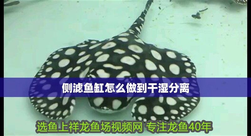 側濾魚缸怎么做到干濕分離