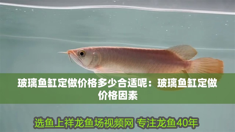 玻璃魚缸定做價格多少合適呢：玻璃魚缸定做價格因素