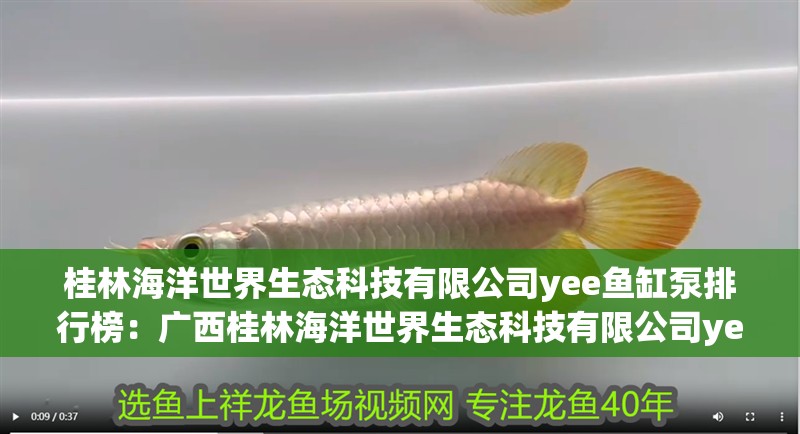 桂林海洋世界生態科技有限公司yee魚缸泵排行榜：廣西桂林海洋世界生態科技有限公司yee魚缸排行榜