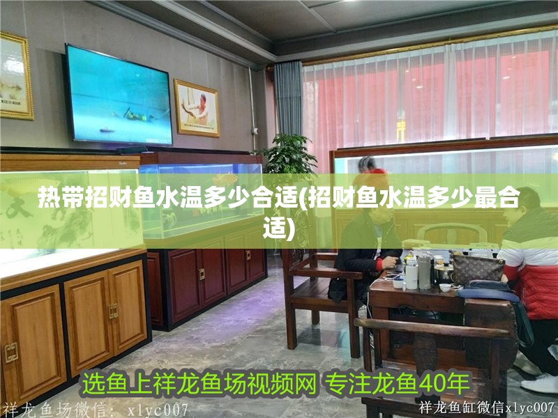 熱帶招財魚水溫多少合適(招財魚水溫多少最合適)