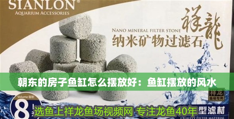 朝東的房子魚缸怎么擺放好：魚缸擺放的風水