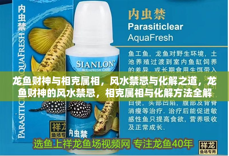 龍魚(yú)財(cái)神與相克屬相，風(fēng)水禁忌與化解之道，龍魚(yú)財(cái)神的風(fēng)水禁忌，相克屬相與化解方法全解析