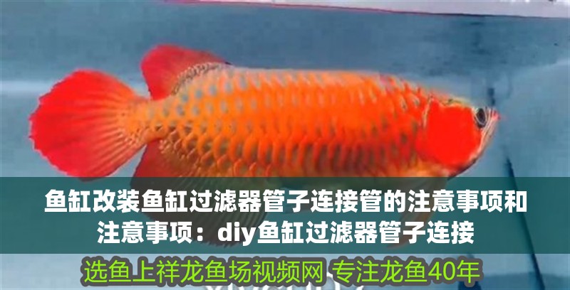 魚缸改裝魚缸過濾器管子連接管的注意事項和注意事項：diy魚缸過濾器管子連接