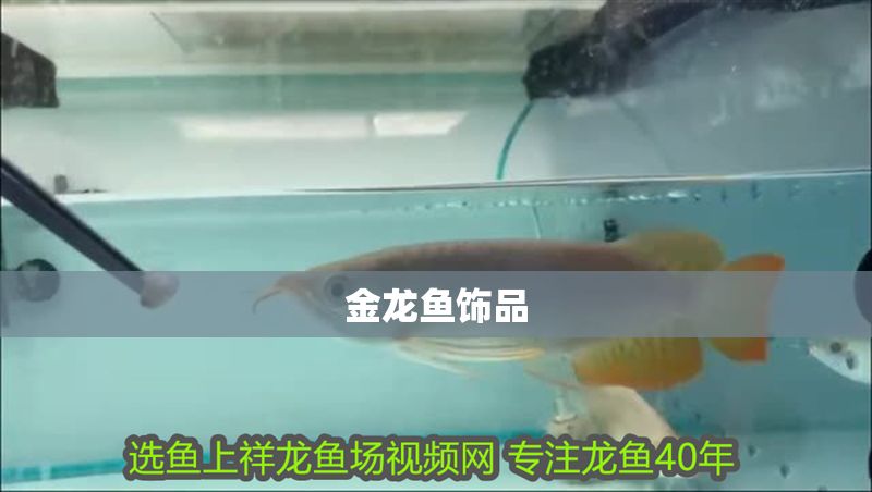 金龍魚飾品