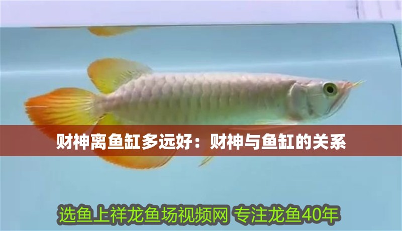 財神離魚缸多遠好：財神與魚缸的關系 財神離魚缸多遠好：財神與魚缸的關系 魚缸百科