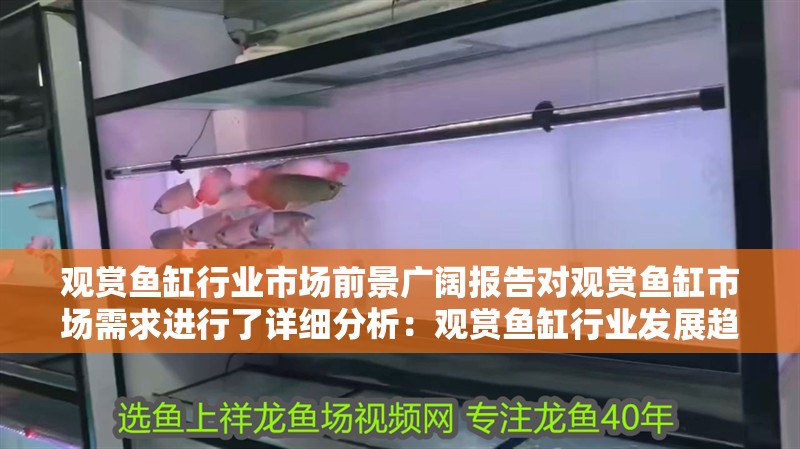 觀賞魚缸行業市場前景廣闊報告對觀賞魚缸市場需求進行了詳細分析：觀賞魚缸行業發展趨勢