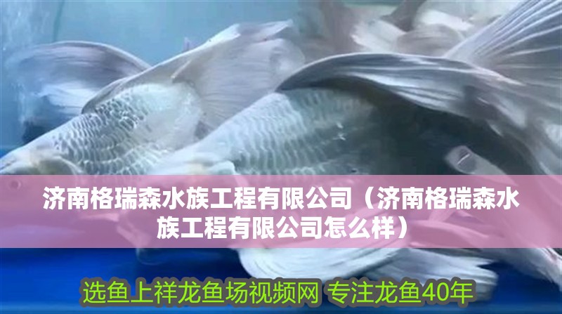 濟南格瑞森水族工程有限公司（濟南格瑞森水族工程有限公司怎么樣）