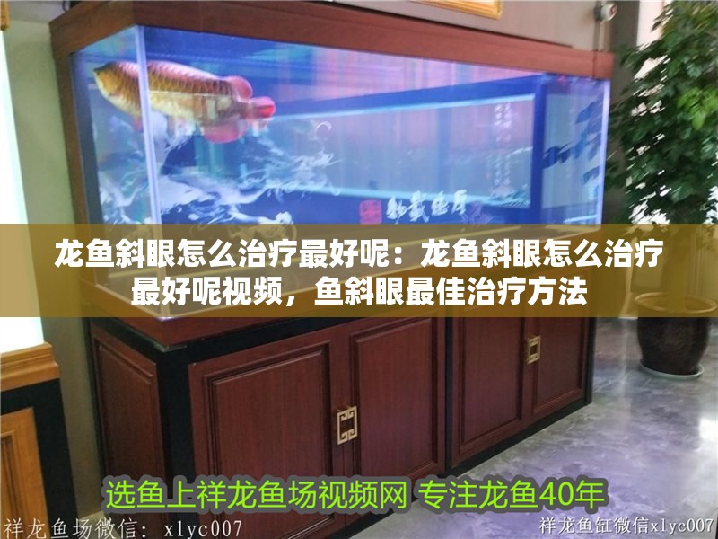 龍魚斜眼怎么治療最好呢：龍魚斜眼怎么治療最好呢視頻，魚斜眼最佳治療方法 龍魚斜眼怎么治療最好呢：龍魚斜眼怎么治療最好呢視頻，魚斜眼最佳治療方法 水族問答