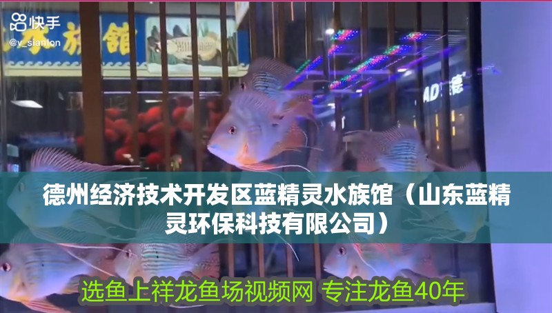 德州經濟技術開發區藍精靈水族館（山東藍精靈環保科技有限公司）