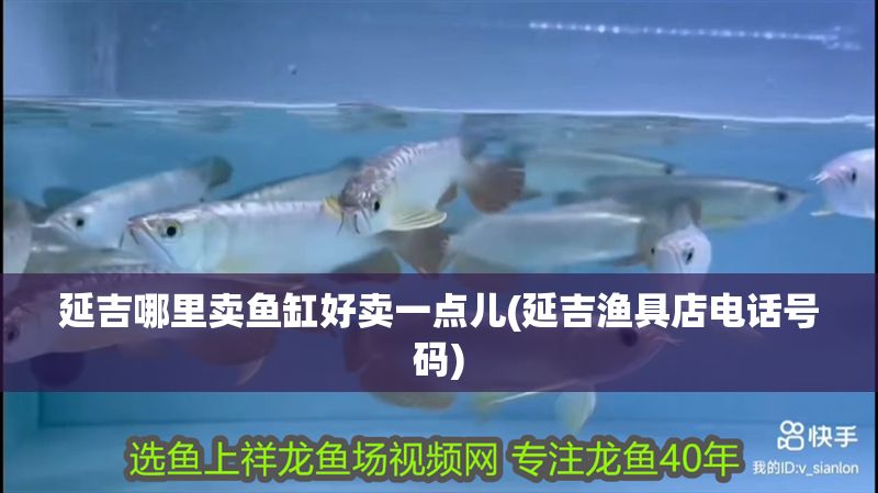 延吉哪里賣魚缸好賣一點兒(延吉漁具店電話號碼)