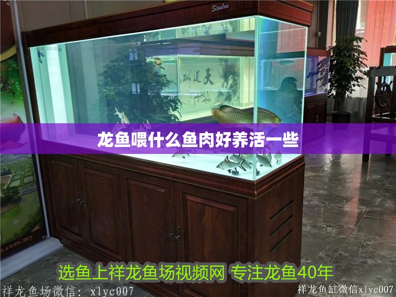 龍魚喂什么魚肉好養活一些