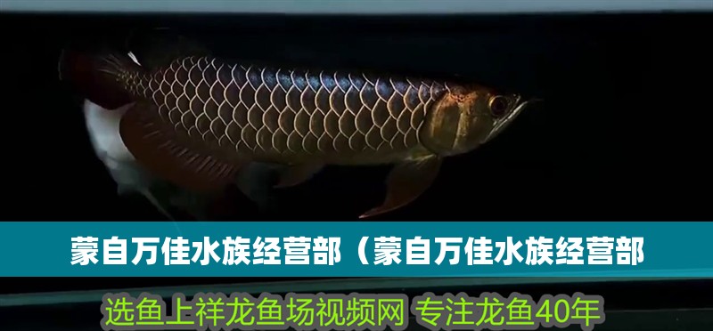 蒙自萬(wàn)佳水族經(jīng)營(yíng)部（蒙自萬(wàn)佳水族經(jīng)營(yíng)部