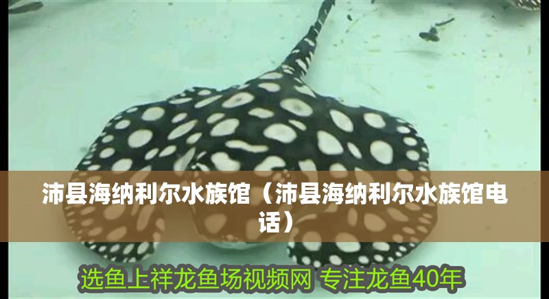 沛縣海納利爾水族館（沛縣海納利爾水族館電話） 沛縣海納利爾水族館（沛縣海納利爾水族館電話） 全國水族館企業名錄 第2張