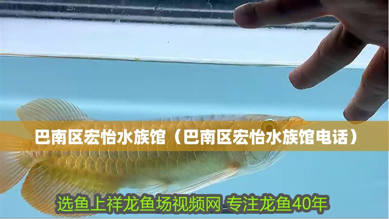 巴南區(qū)宏怡水族館（巴南區(qū)宏怡水族館電話）