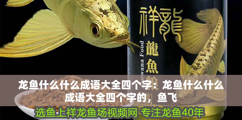 龍魚(yú)什么什么成語(yǔ)大全四個(gè)字：龍魚(yú)什么什么成語(yǔ)大全四個(gè)字的，魚(yú)飛