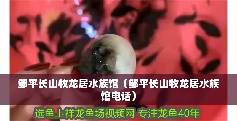 鄒平長山牧龍居水族館（鄒平長山牧龍居水族館電話） 鄒平長山牧龍居水族館（鄒平長山牧龍居水族館電話） 全國水族館企業名錄 第2張