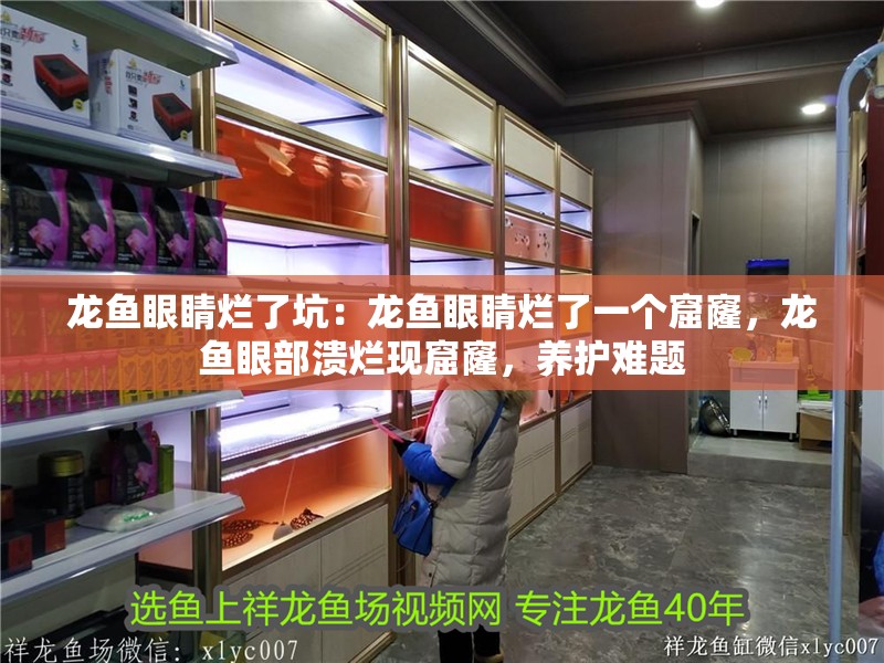 龍魚眼睛爛了坑：龍魚眼睛爛了一個窟窿，龍魚眼部潰爛現(xiàn)窟窿，養(yǎng)護(hù)難題 龍魚眼睛爛了坑：龍魚眼睛爛了一個窟窿，龍魚眼部潰爛現(xiàn)窟窿，養(yǎng)護(hù)難題 水族問答