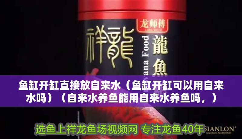 魚缸開缸直接放自來水（魚缸開缸可以用自來水嗎）（自來水養魚能用自來水養魚嗎，）