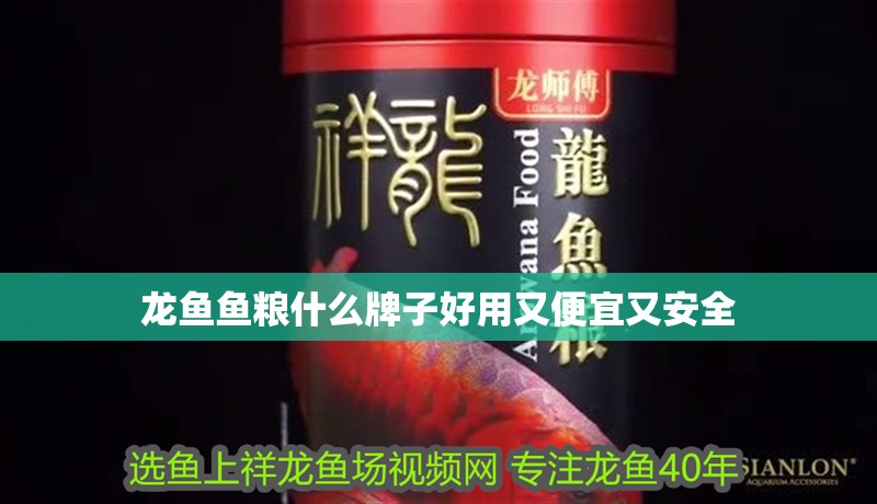 龍魚魚糧什么牌子好用又便宜又安全 龍魚魚糧什么牌子好用又便宜又安全 龍魚百科 第2張