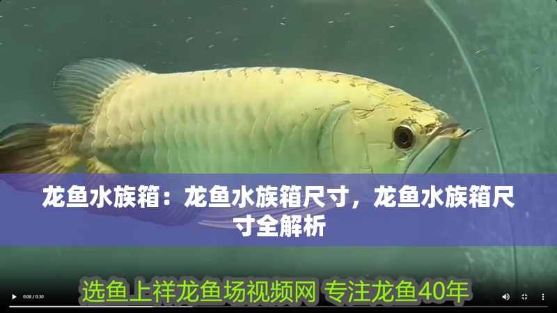 龍魚(yú)水族箱：龍魚(yú)水族箱尺寸，龍魚(yú)水族箱尺寸全解析 龍魚(yú)水族箱：龍魚(yú)水族箱尺寸，龍魚(yú)水族箱尺寸全解析 水族問(wèn)答