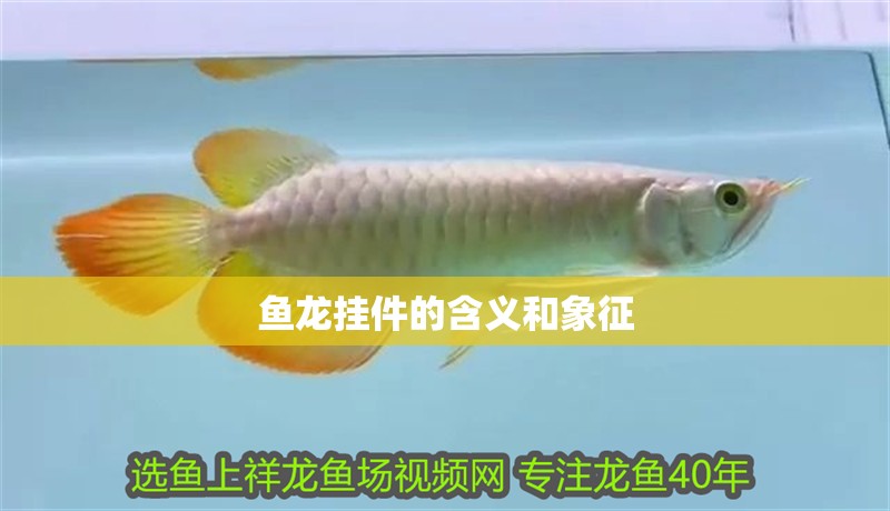 魚(yú)龍掛件的含義和象征