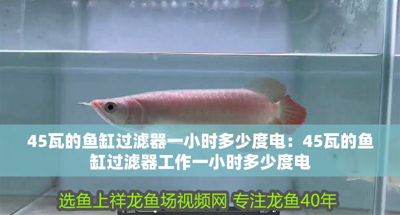 45瓦的魚缸過濾器一小時多少度電：45瓦的魚缸過濾器工作一小時多少度電