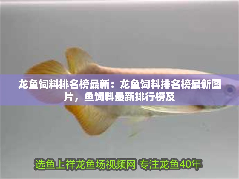 龍魚飼料排名榜最新：龍魚飼料排名榜最新圖片，魚飼料最新排行榜及