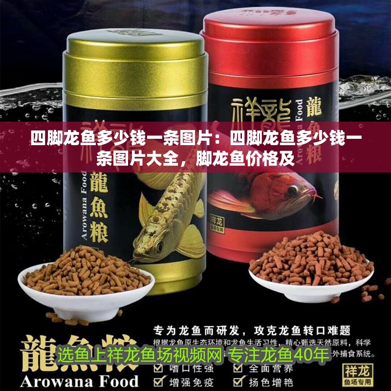 四腳龍魚多少錢一條圖片:四腳龍魚多少錢一條圖片大全,腳龍魚價格及 水族問答 四腳龍魚多少錢一條圖片:四腳龍魚多少錢一條圖片大全,腳龍魚價格及 四腳龍魚多少錢一條圖片:四腳龍魚多少錢一條圖片大全,腳龍魚價格及 水族問答