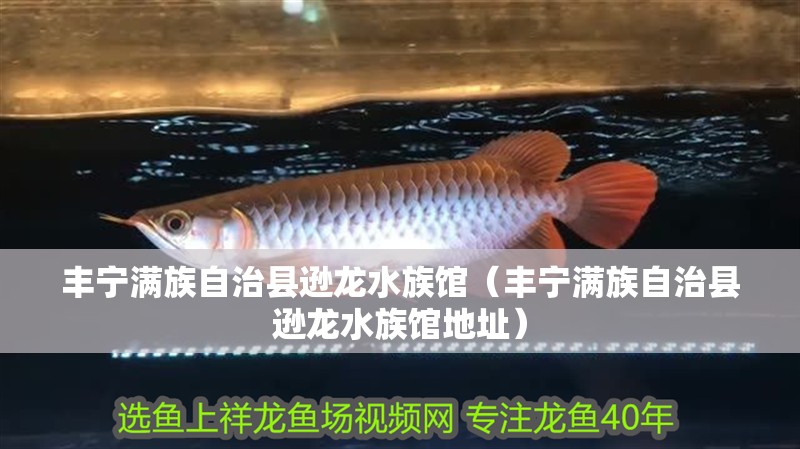 豐寧滿族自治縣遜龍水族館（豐寧滿族自治縣遜龍水族館地址）