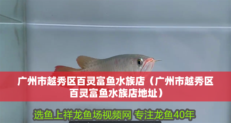 廣州市越秀區百靈富魚水族店（廣州市越秀區百靈富魚水族店地址）