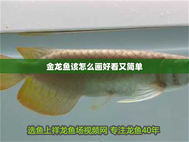 金龍魚該怎么畫好看又簡單