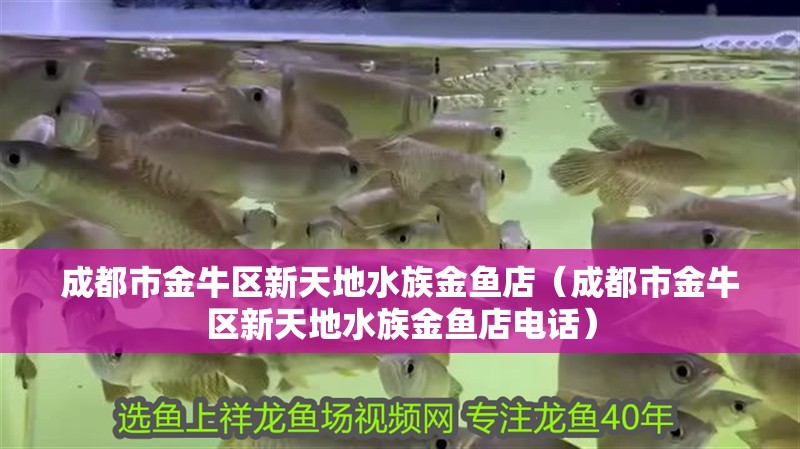 成都市金牛區新天地水族金魚店（成都市金牛區新天地水族金魚店電話）