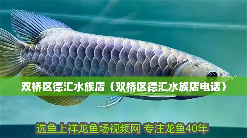 雙橋區(qū)德匯水族店（雙橋區(qū)德匯水族店電話） 雙橋區(qū)德匯水族店（雙橋區(qū)德匯水族店電話） 全國水族館企業(yè)名錄 第2張