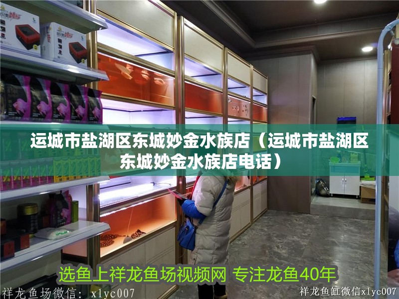 運城市鹽湖區東城妙金水族店（運城市鹽湖區東城妙金水族店電話）